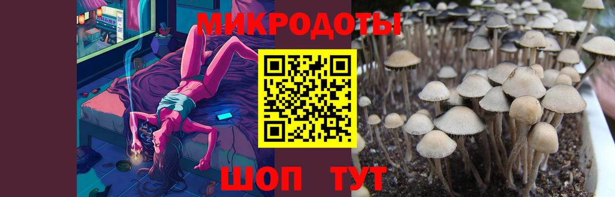 Псилоцибиновые грибы ЛСД  что такое   Удомля  Вход с VPN 
