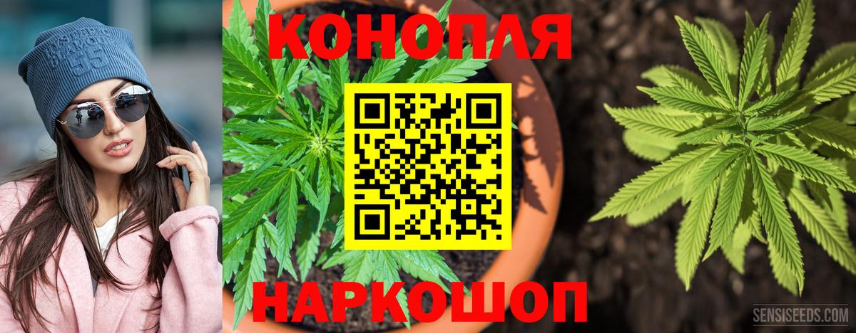 МАРИХУАНА конопля Удомля